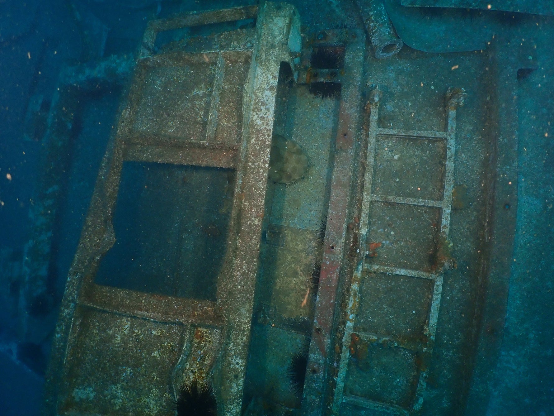 ex hmas Adelaide following storm events in 2024