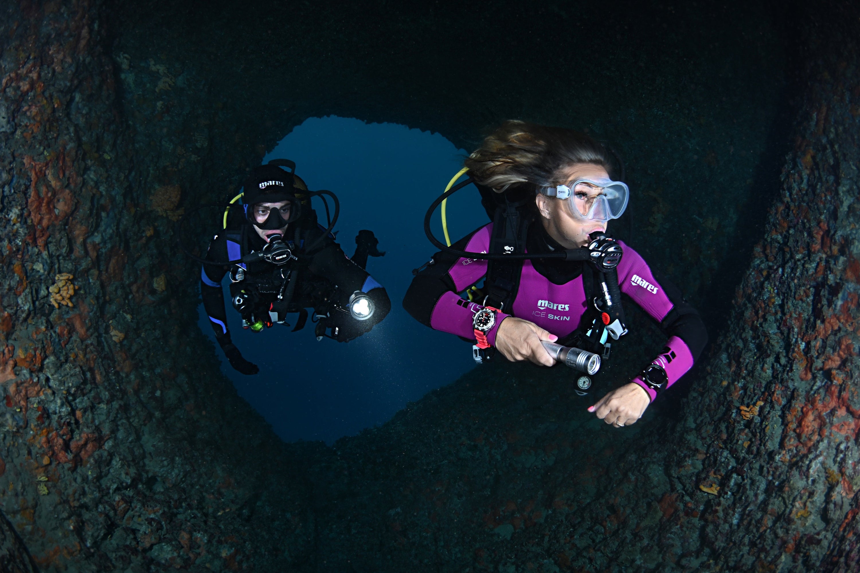How to Become a Dive Professional