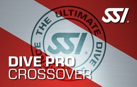 Courses - Divemaster Crossover