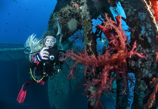diver taking a photo underwater of a bright coloured soft coral hanging onto a shipwreck
