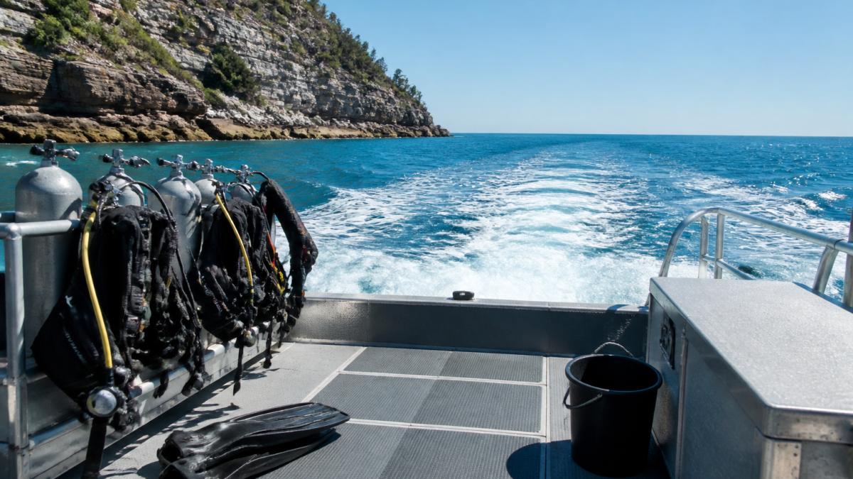 Local Scuba Diving Boat Trips: What to Expect