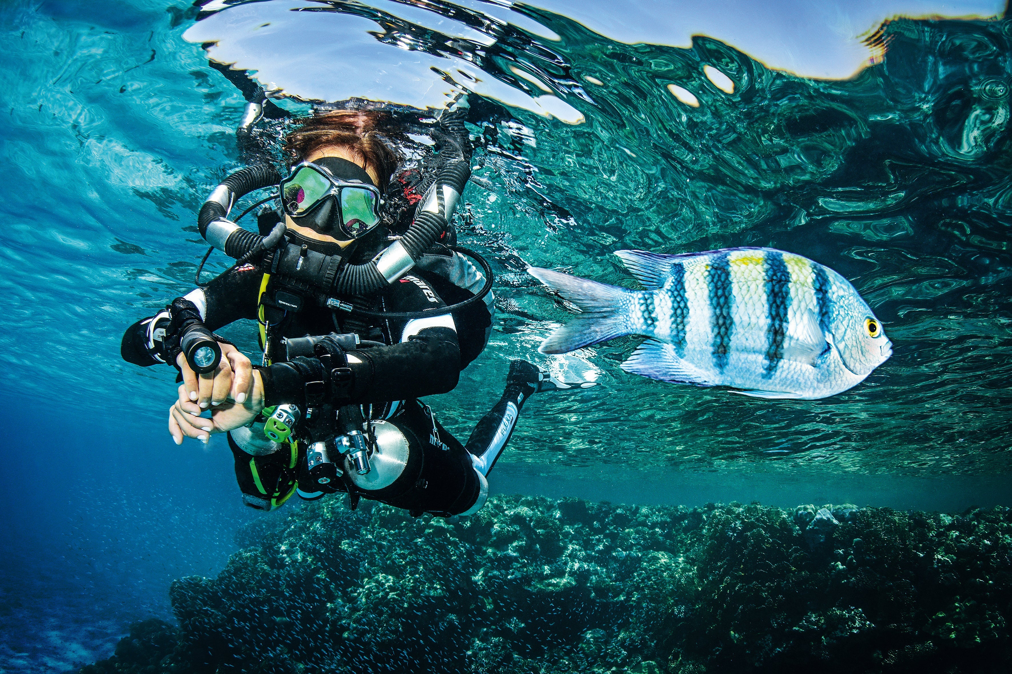 masks come in all shapes and sizes for the perfect fit, call the dive centre today for a classic fitting session