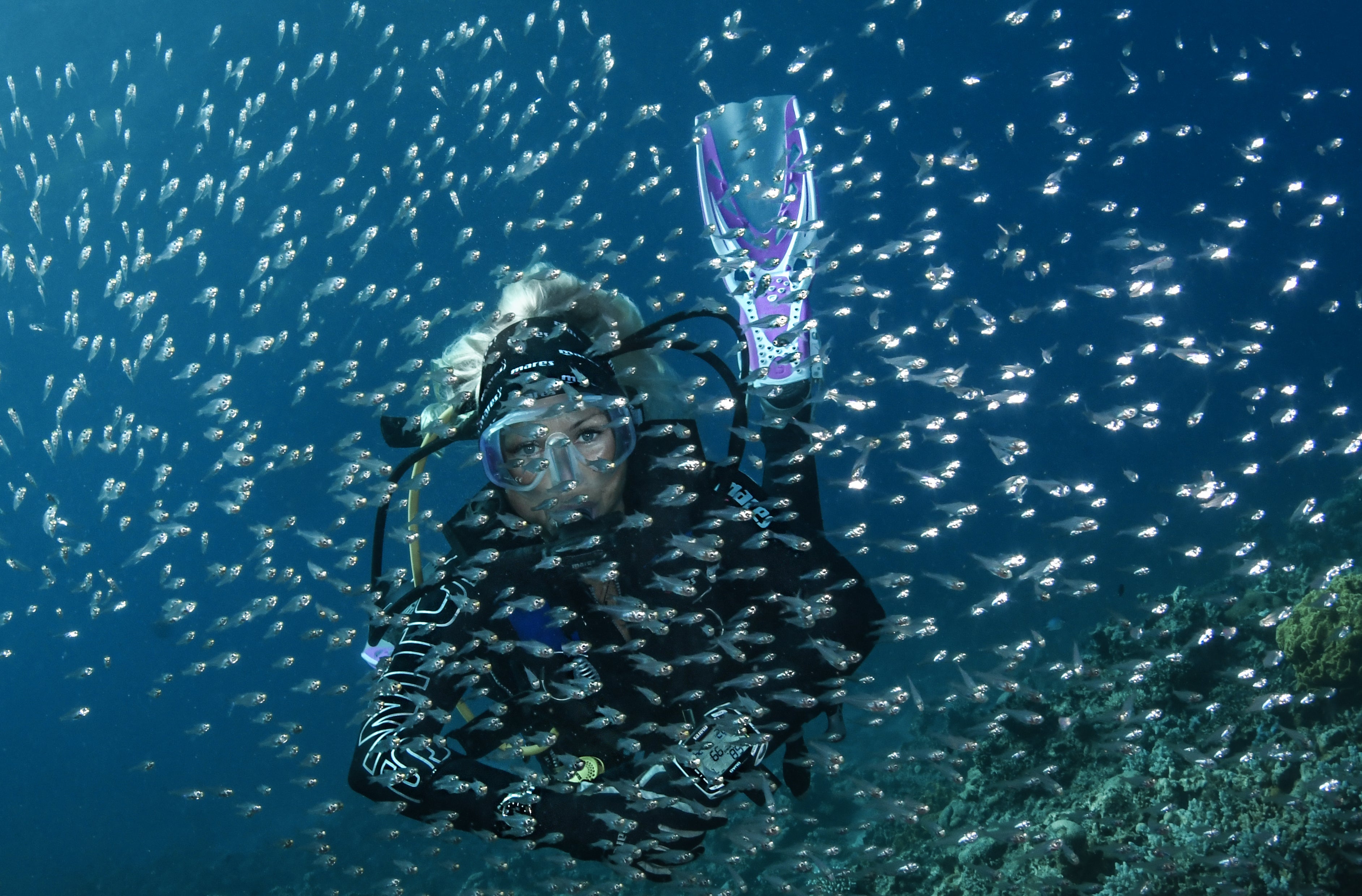 Spearfishing Thermal Protection