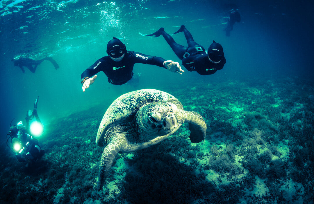 Social Diving tours