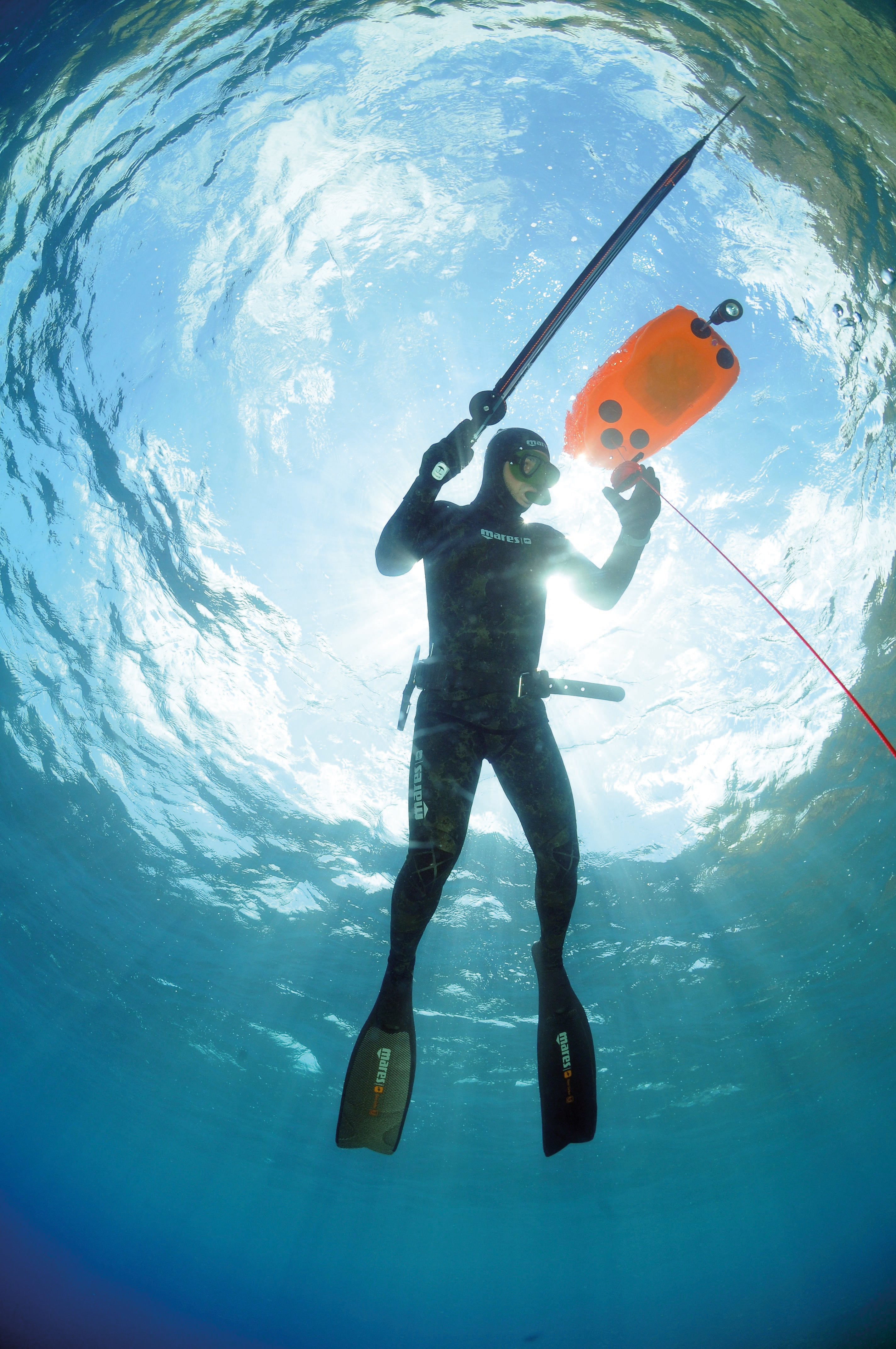 spearfishers looking for fish to hunt