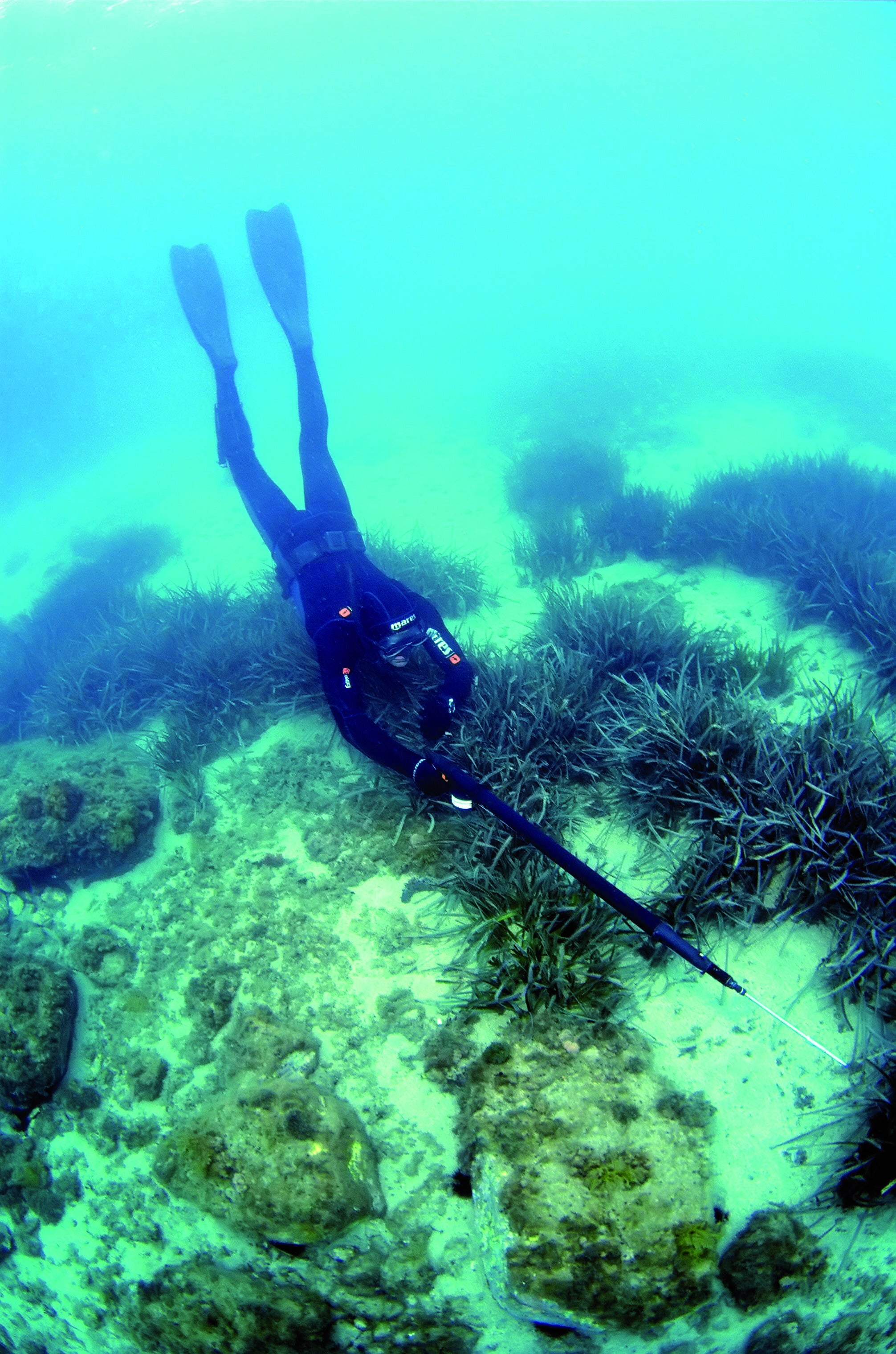 spearfishers hunting prey