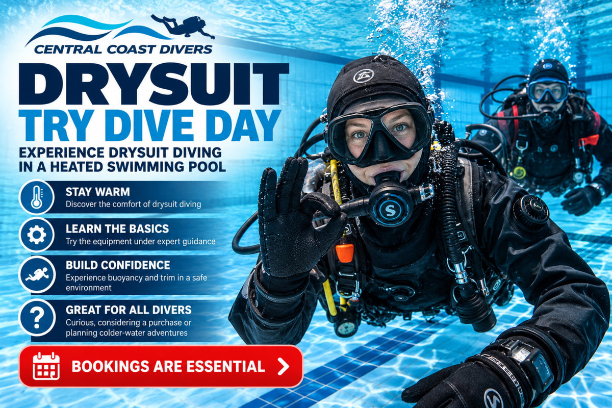 Promotional advertisement for Central Coast Divers Drysuit Try Dive Day, featuring a person in a black drysuit and mask swimming in a blue heated pool, with text highlighting benefits and booking information.