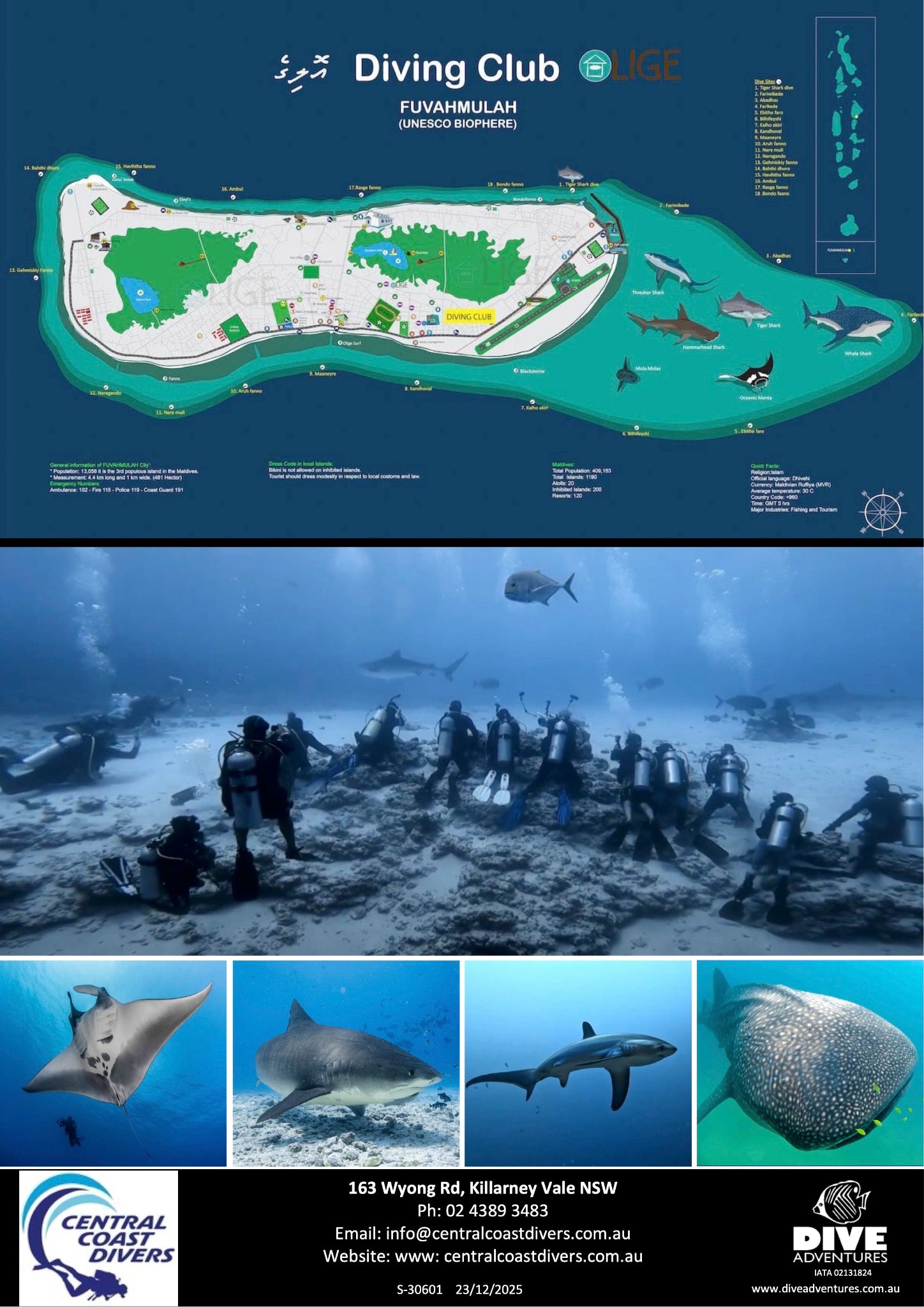 Promotional poster for Fuvamhulam Dive Club in NSW, Australia, featuring a map of the island, an underwater scene with divers exploring the reef, and four close-up shark and whale shark photos. Contact details and logos for Central Coast Divers are shown at the bottom.