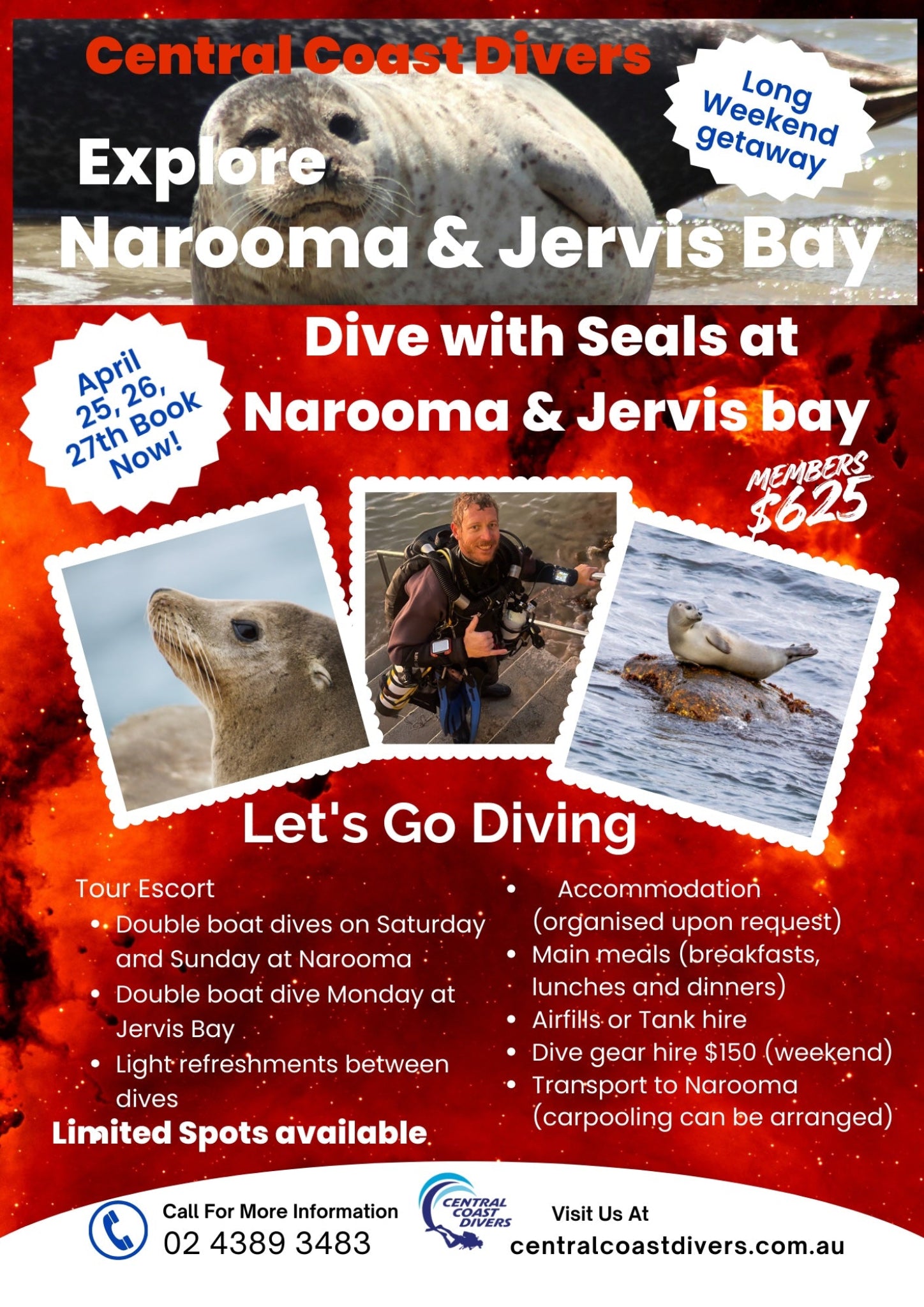 Advertisement for diving with seals at Narooma and Jervis Bay, featuring images of seals and a diver.