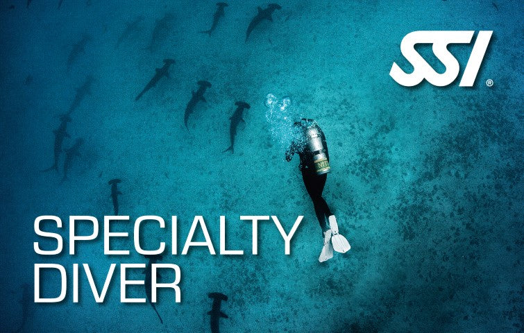 Rescue to Dive Master Fast Track