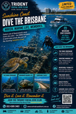 Promotional flyer for Trident Social Dive Club's 'Dive the Brisbane' wreck diving tour on the Sunshine Coast, featuring an underwater photograph of a sea turtle and divers, with text detailing tour options and pricing.