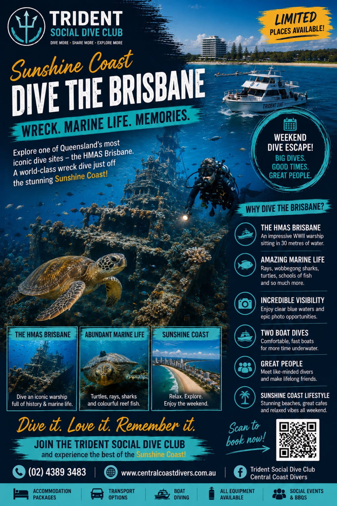 Promotional flyer for Trident Social Dive Club's 'Dive the Brisbane' wreck diving tour on the Sunshine Coast, featuring an underwater photograph of a sea turtle and divers, with text detailing tour options and pricing.