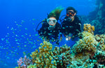 Two scuba divers exploring a vibrant coral reef with colorful fish.