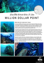 dive million dollar point in Santo