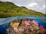 Split-view of a tropical island and underwater coral reef.