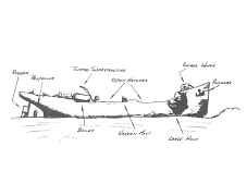 Wreck Dive - SS Galava