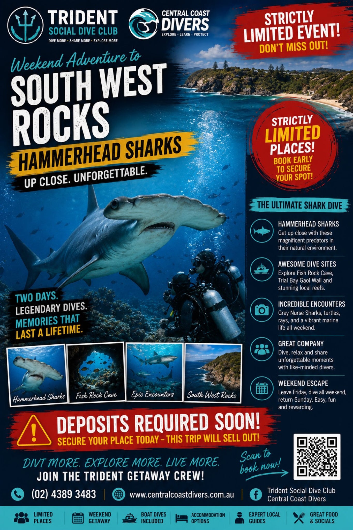 A promotional flyer for a weekend adventure to South West Rocks featuring hammerhead sharks, with a large shark photo, scuba diver, location photos, and contact details for Trident Social Dive Club and Central Coast Divers.