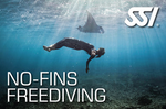 Constant Weight No Fin (CNF)