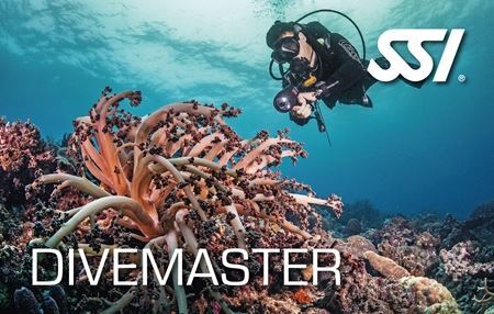 Courses - Divemaster