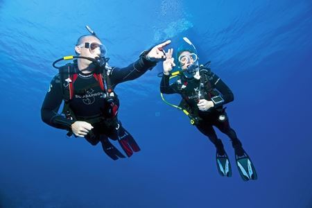 Professional Instructor Program