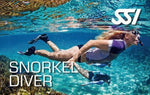 Snorkeling Course