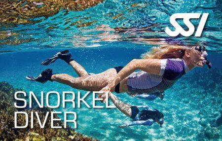 Snorkeling Course