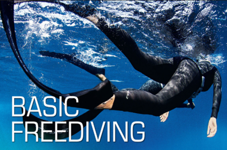 Basic Freediving