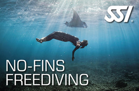 Courses - Dynamic No Fin (DNF)