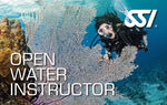 female scuba diver overlooking large underwater coral fan .