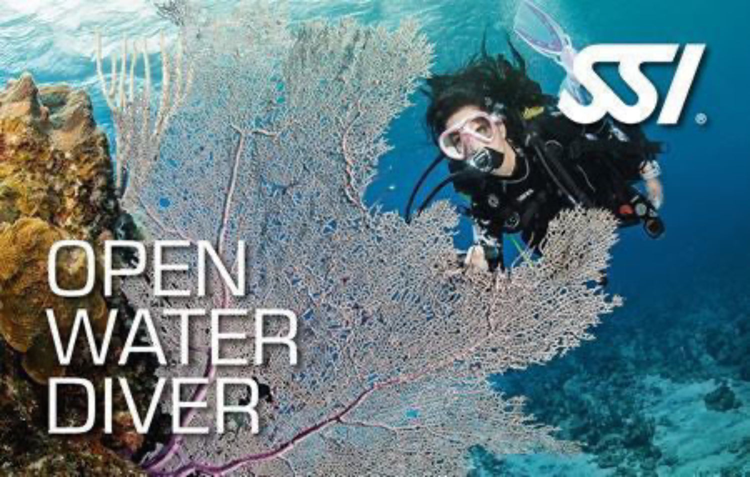 Open Water Diver card